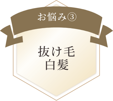 お悩み３　抜け毛、白髪